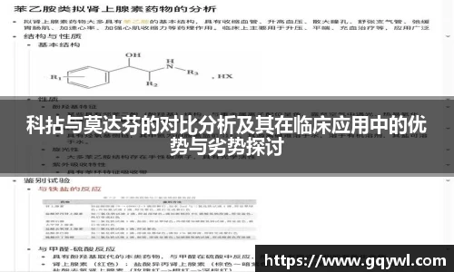彩神VI首页