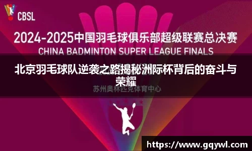 北京羽毛球队逆袭之路揭秘洲际杯背后的奋斗与荣耀